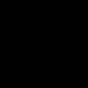 Meet your Posher, Tyree